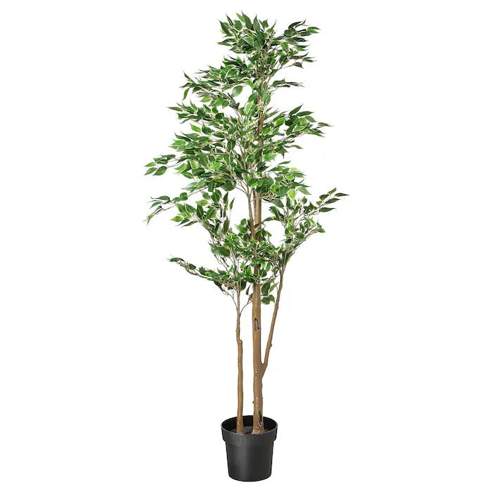 fejka artificial potted plant FEJKA Artificial potted plant, in/outdoor Weeping fig, 21 cm – Simple Lifestyle Myanmar