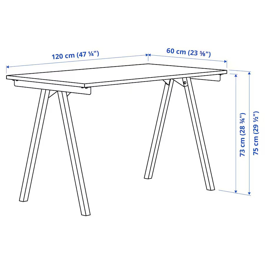 TROTTEN Desk, white, 120x60 cm
