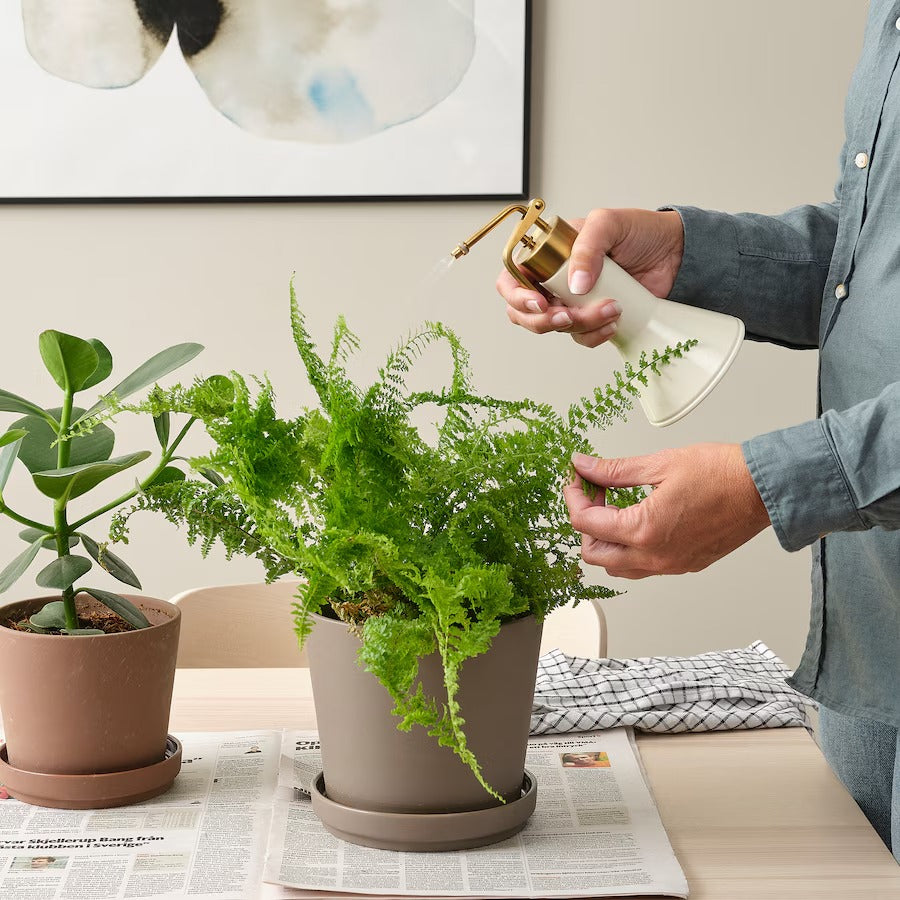 VATTENKRASSE Plant mister, ivory/gold-colour, 35 cl
