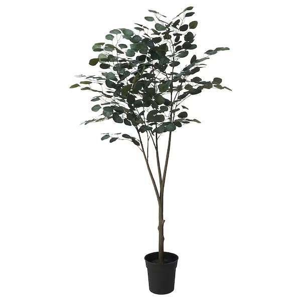 New FEJKA Artificial potted plant, in/outdoor eucalyptus, 19 cm