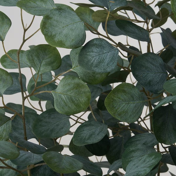 New FEJKA Artificial potted plant, in/outdoor eucalyptus, 19 cm
