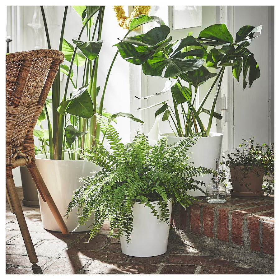 SOJABÖNA Plant pot, white, 9 cm