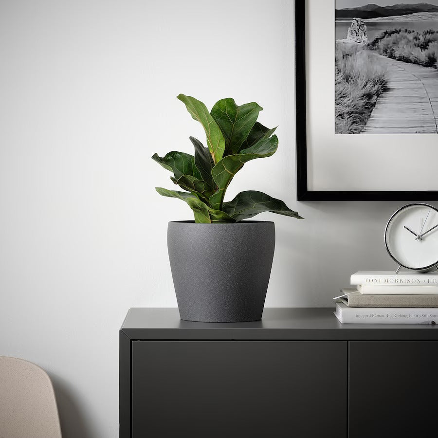 PERSILLADE Plant pot, dark grey, 19 cm