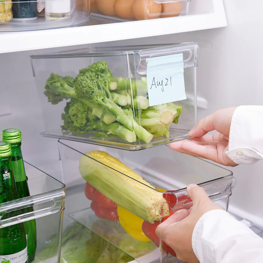 KLIPPKAKTUS Storage box for fridge, transparent, 32x10x8 cm