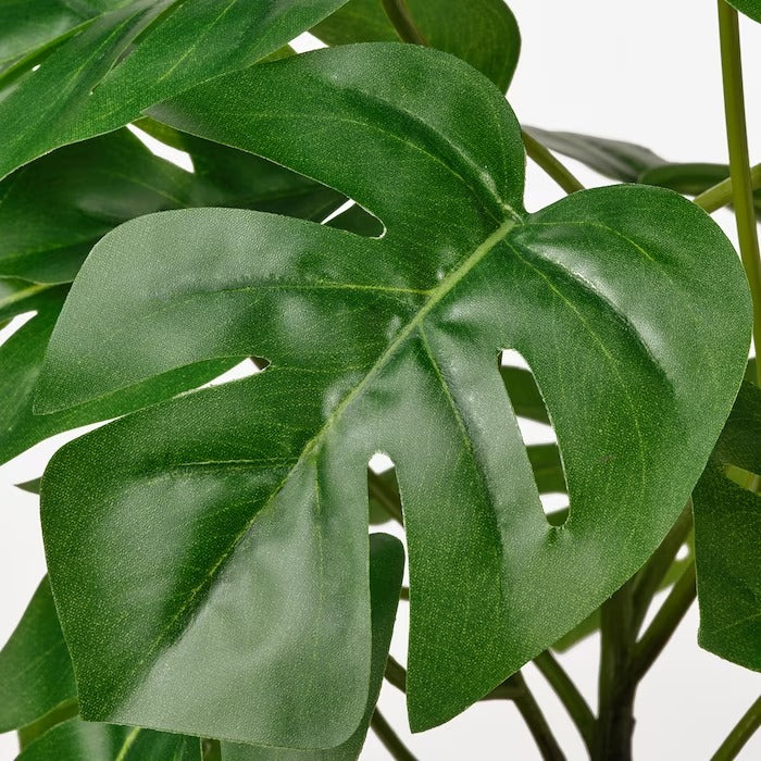FEJKA Artificial potted plant, in/outdoor Monstera, 12 cm