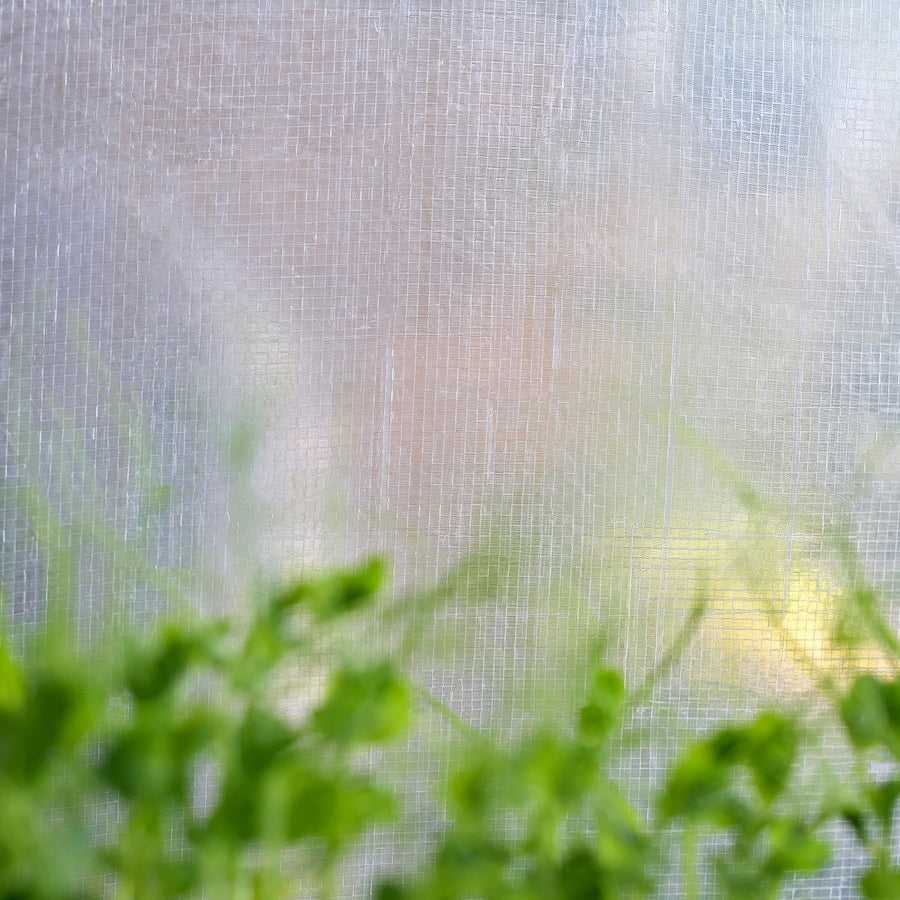 ASPAREN Greenhouse, transparent white, 95x32x162 cm