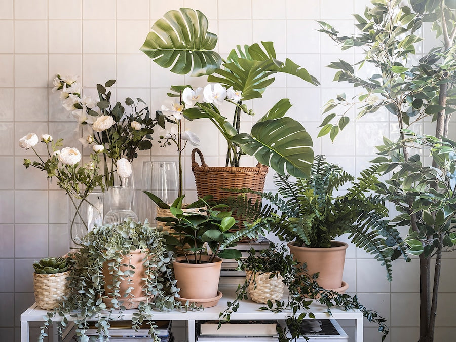 FEJKA Artificial potted plant, in/outdoor Monstera, 19 cm