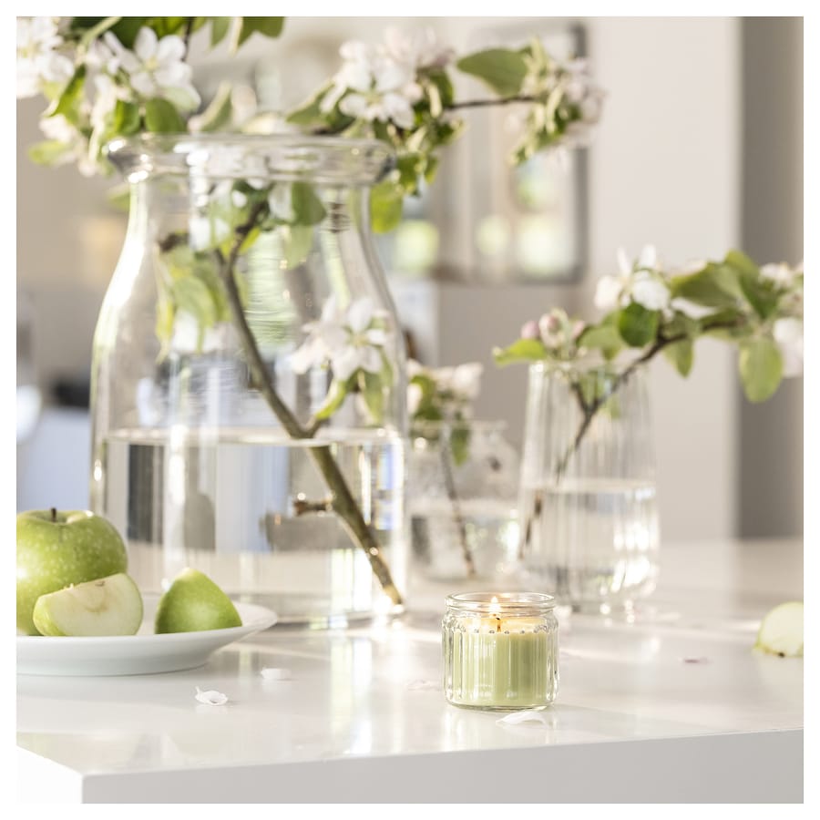LÖVSKOGSLUND Scented candle in glass, apple/light green, 12 hr