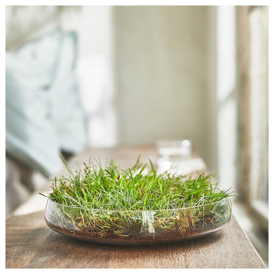 HEDERSAM Scentedeali tght, Fresh grass/light green, 3.5 hr