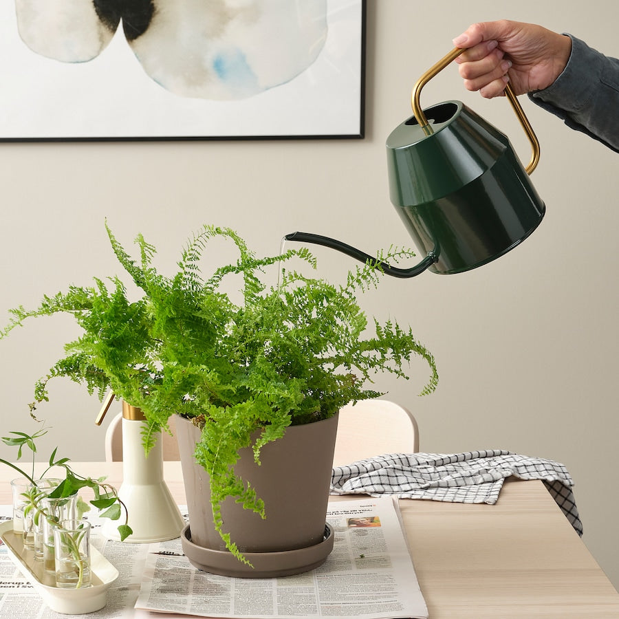 VATTENKRASSE Watering can, black-green/gold-colour, 2.0 l