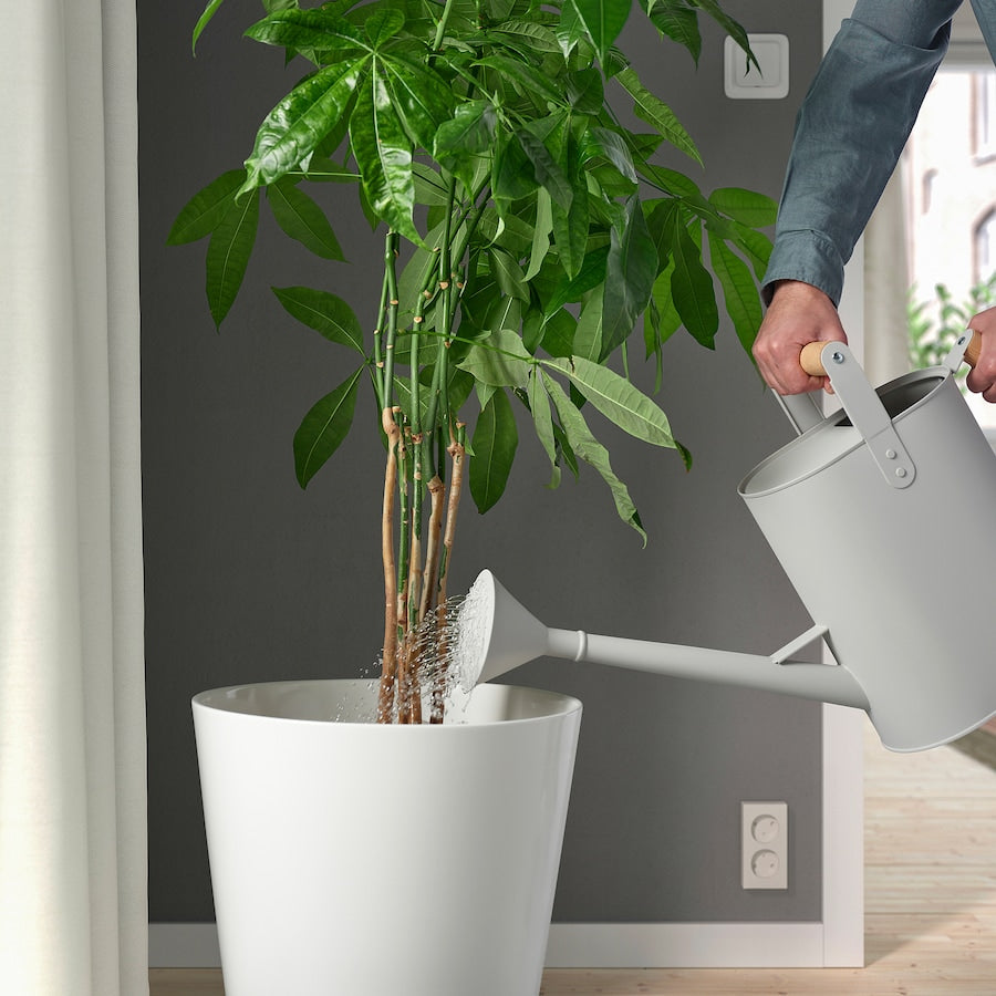 SALLADSKÅL Watering can, in/outdoor beige, 9 l