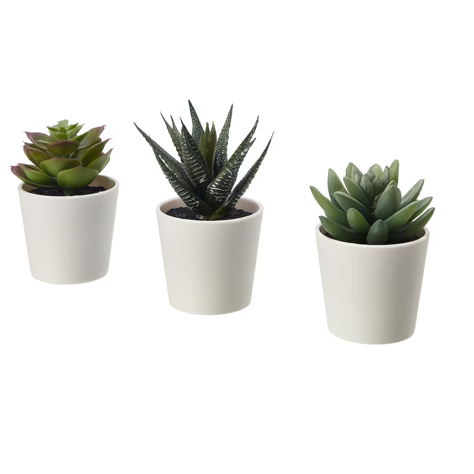 FEJKA Artificial potted plant with pot, in/outdoor Succulent, 6 cm 3 pieces
