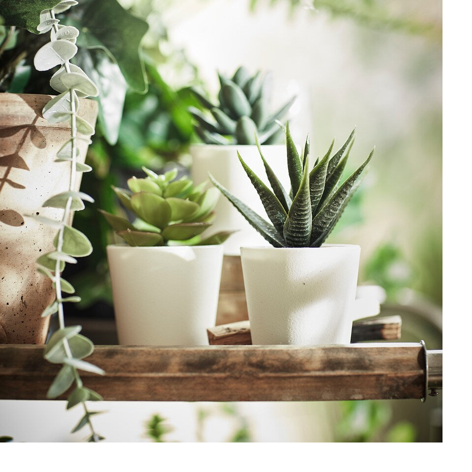 FEJKA Artificial potted plant with pot, in/outdoor Succulent, 6 cm 3 pieces