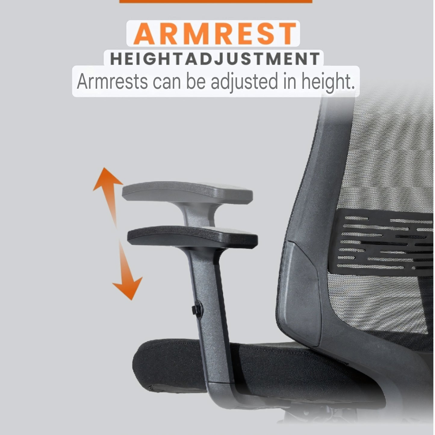ERGOTREND Rio Ergotech Healtg Chair, Rio Model