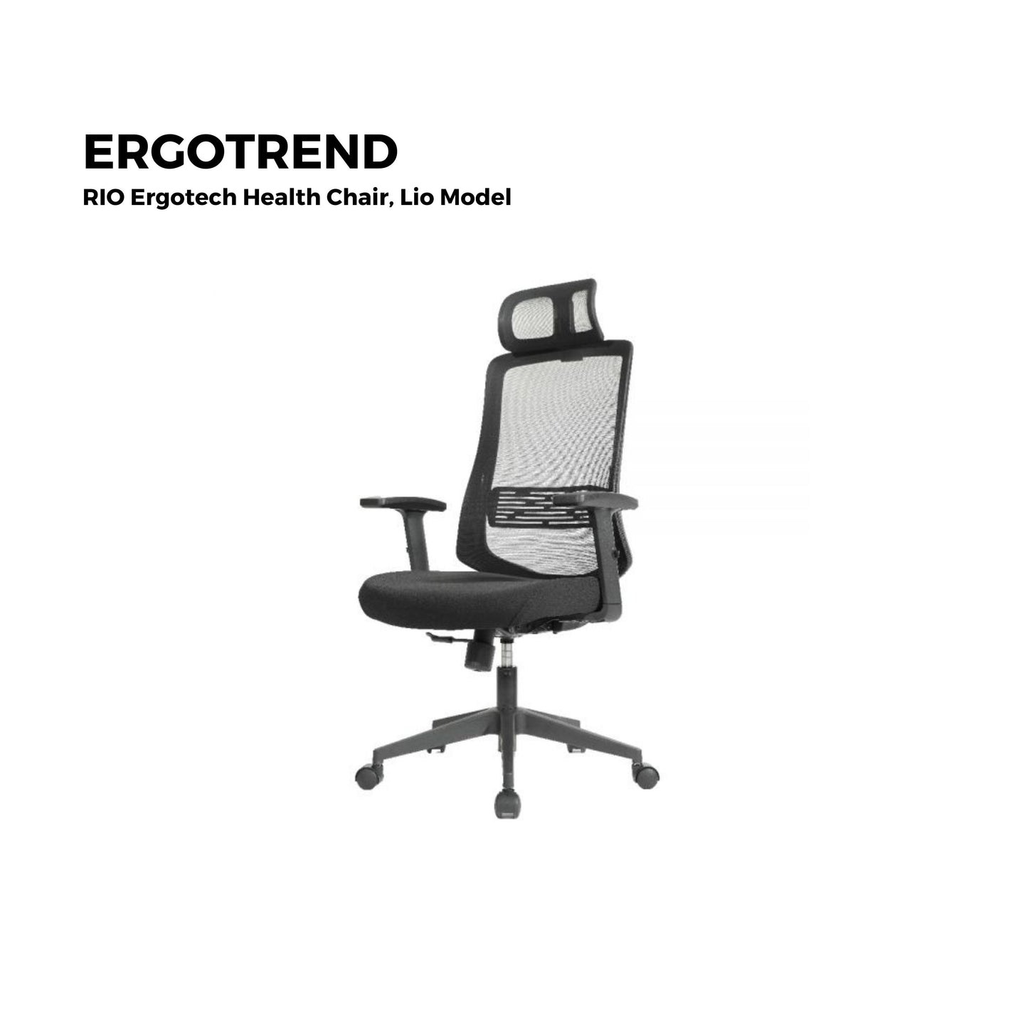 ERGOTREND Rio Ergotech Healtg Chair, Rio Model