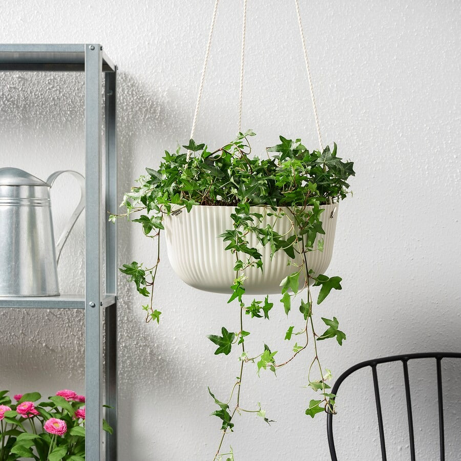 ÄPPELROS Hanging planter, in/outdoor off-white, 27 cm