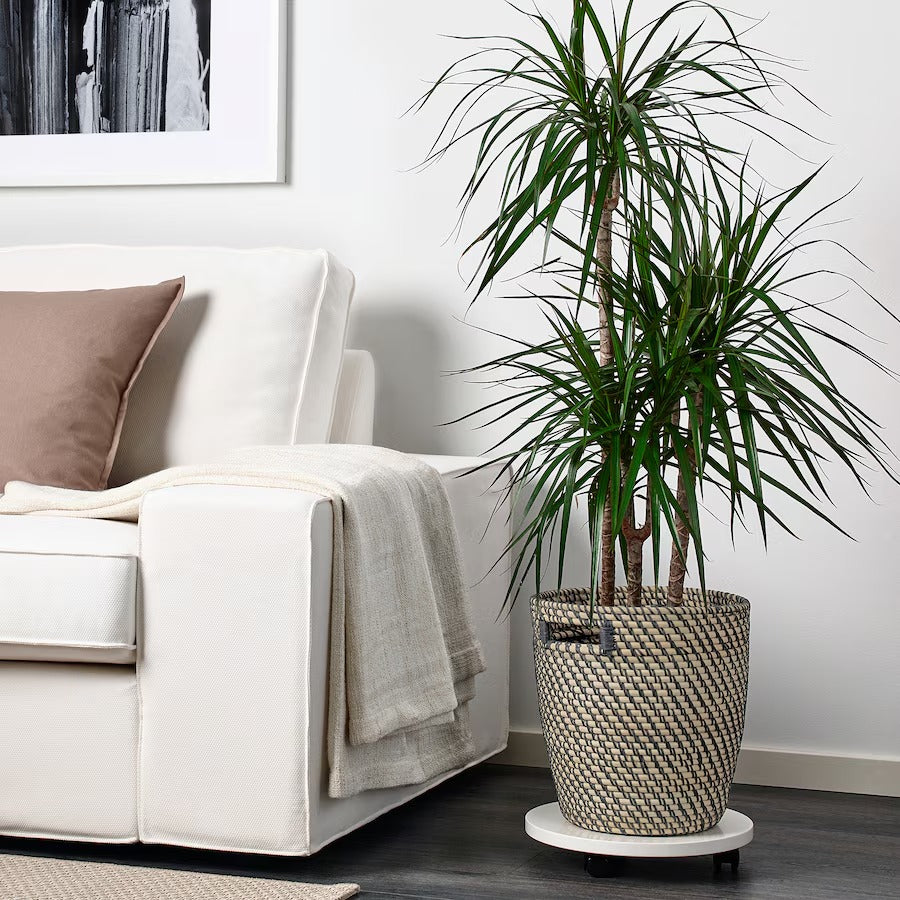 RÅGKORN Plant pot, in/outdoor dark grey/beige, 24 cm