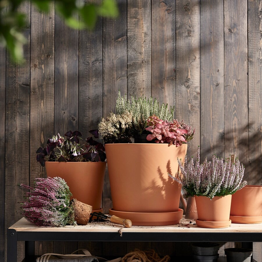 BRUNBÄR Plant pot with saucer, outdoor terracotta, 12 cm