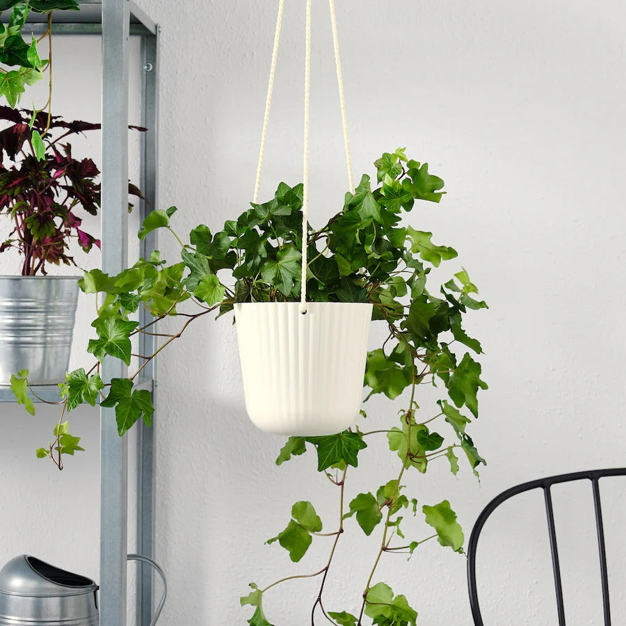 ÄPPELROS Hanging planter, in/outdoor off-white, 27 cm