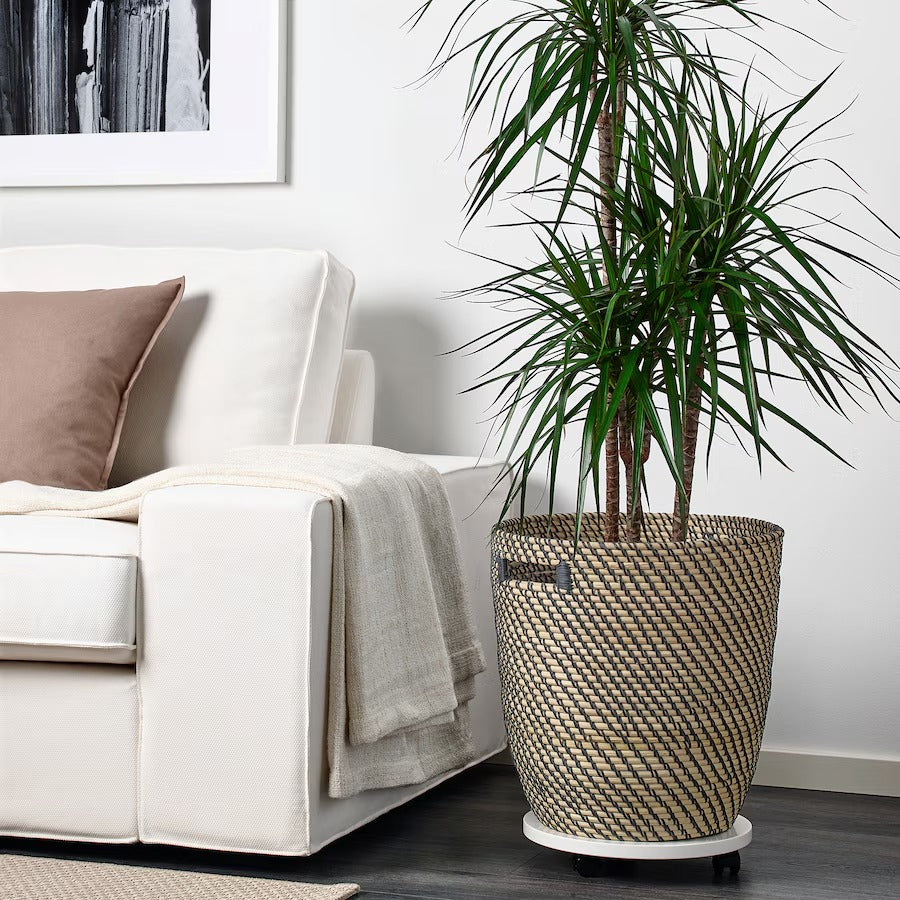 RÅGKORN Plant pot, in/outdoor dark grey/beige, 24 cm