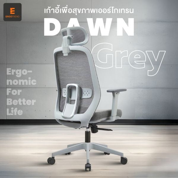 ERGOTREND DAWN Ergotech Health Chair, Dawn Model