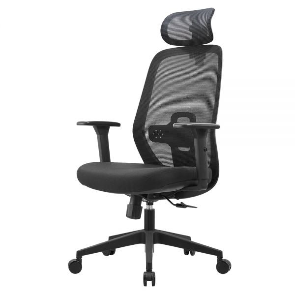 ERGOTREND DAWN Ergotech Health Chair, Dawn Model