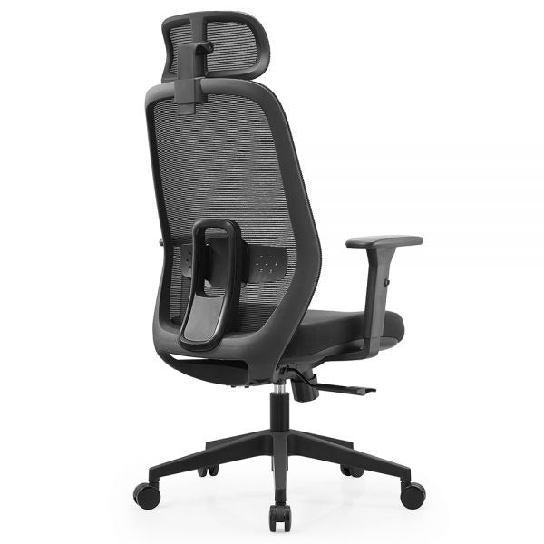 ERGOTREND DAWN Ergotech Health Chair, Dawn Model