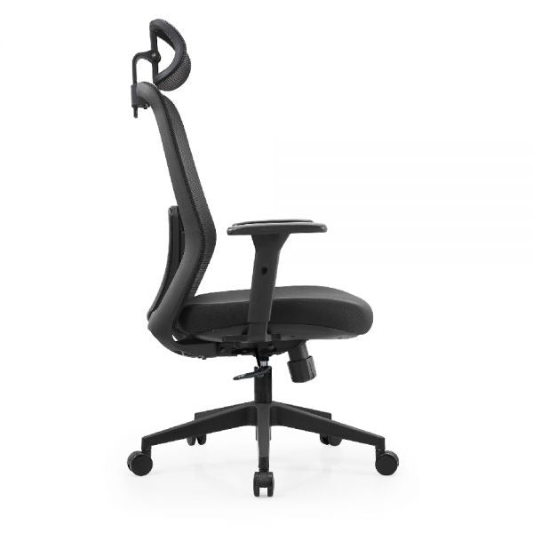 ERGOTREND DAWN Ergotech Health Chair, Dawn Model