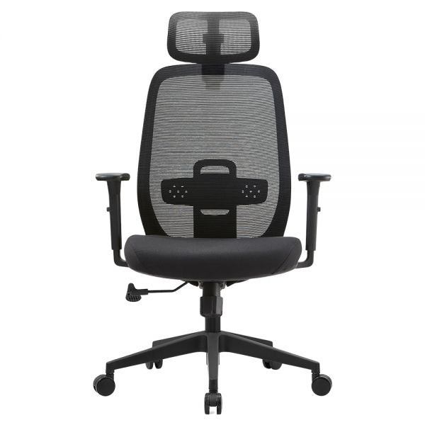 ERGOTREND DAWN Ergotech Health Chair, Dawn Model