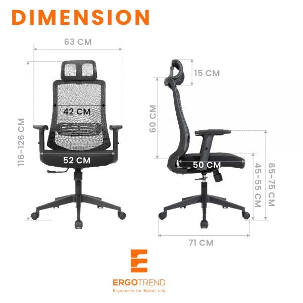 ERGOTREND Rio Ergotech Healtg Chair, Rio Model