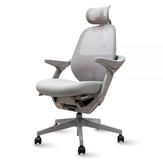 ERGOTREND Ergomatic plus, Ergotrain health chair, Ergomatic Plus model