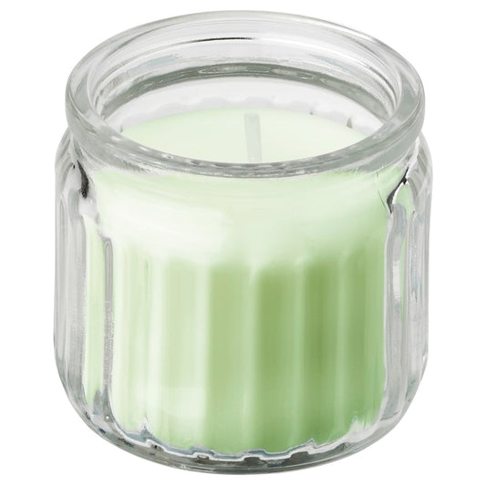 LÖVSKOGSLUND Scented candle in glass, apple/light green, 12 hr