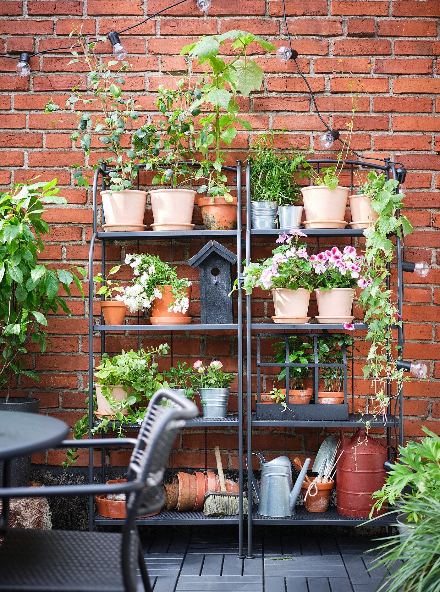 LÄCKÖ Shelving unit, outdoor, grey, 61x160 cm