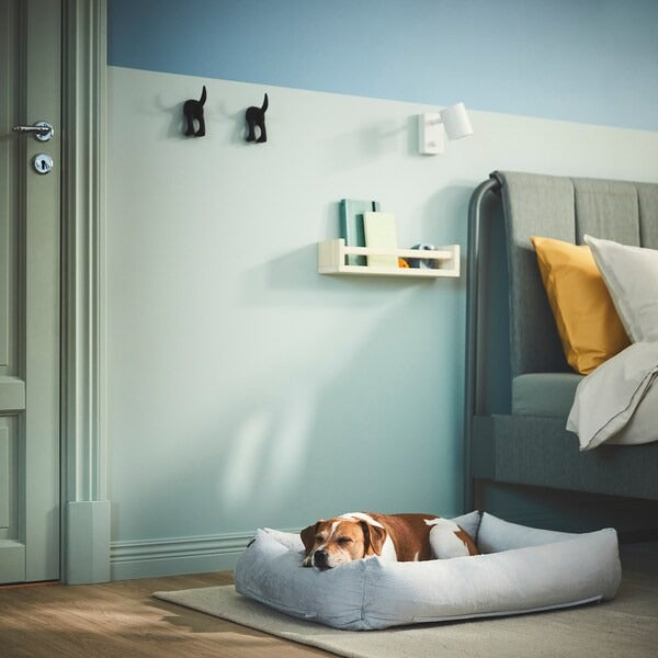 UTSÅDD Dog bed, light grey, M