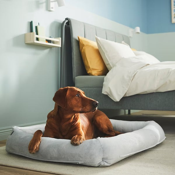 UTSÅDD Dog bed, light grey, M