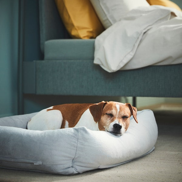 UTSÅDD Dog bed - light grey M