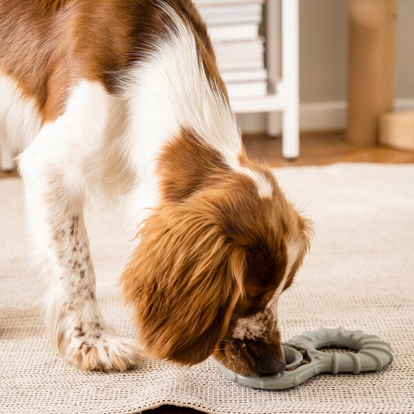 UTSÅDD Dog toy - food and treat hide/grey-green