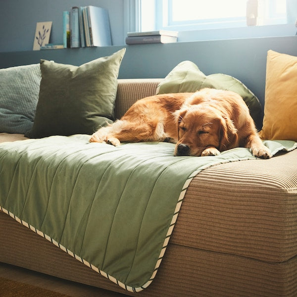 UTSÅDD Pet blanket - green 100x150 cm