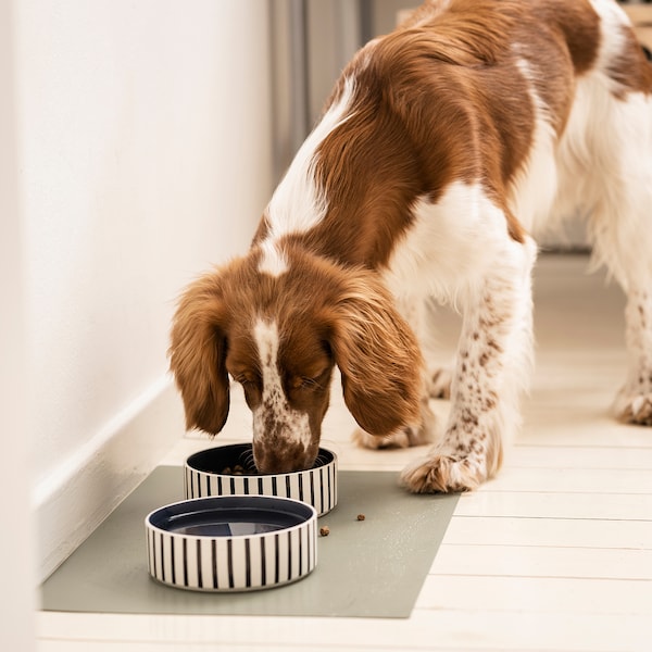 UTSÅDD Pet bowl - stripe pattern black-blue/dark blue 15 cm