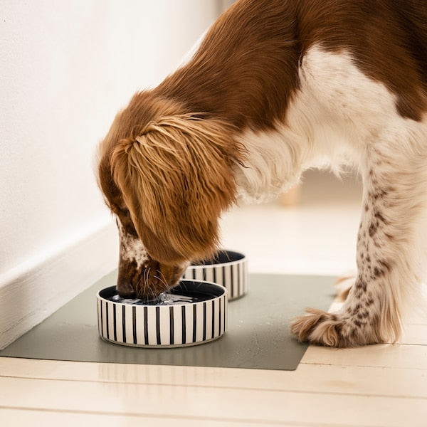 UTSÅDD Pet bowl - stripe pattern black-blue/dark blue 15 cm