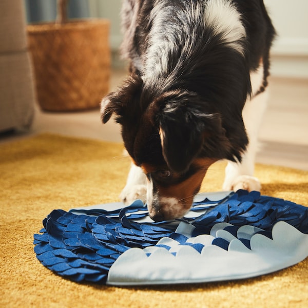 UTSÅDD Snuffle mat for dog - blue