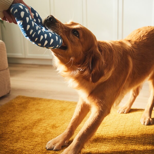 UTSÅDD Soft toy for dog - blue