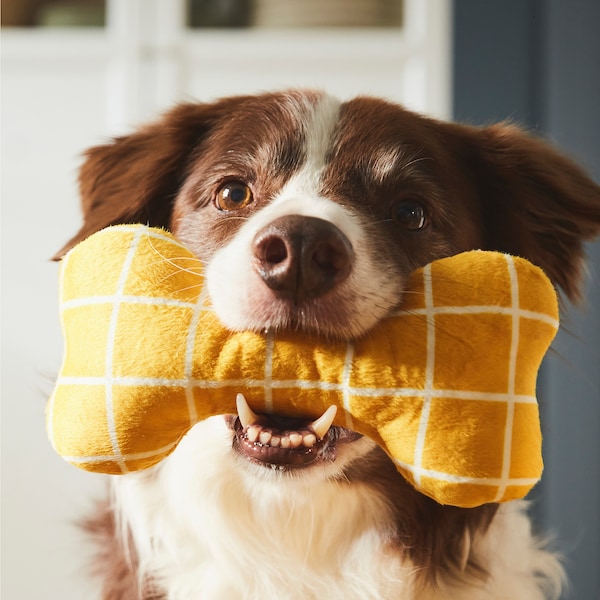 UTSÅDD Soft toy for dog - yellow