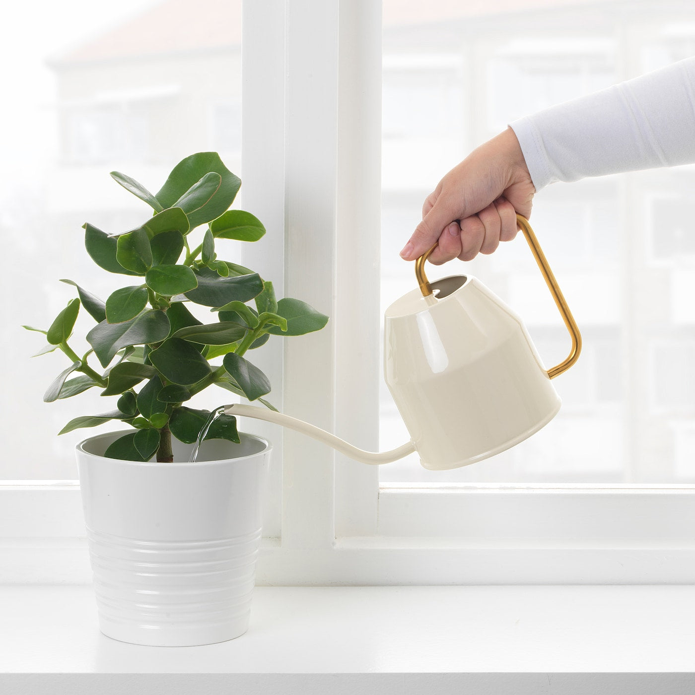 VATTENKRASSE Watering can, ivory/gold-colour, 0.9 l