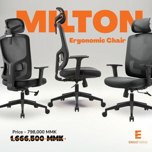 ERGOTREND MILTON Ergotech Health Chair, Milton Model
