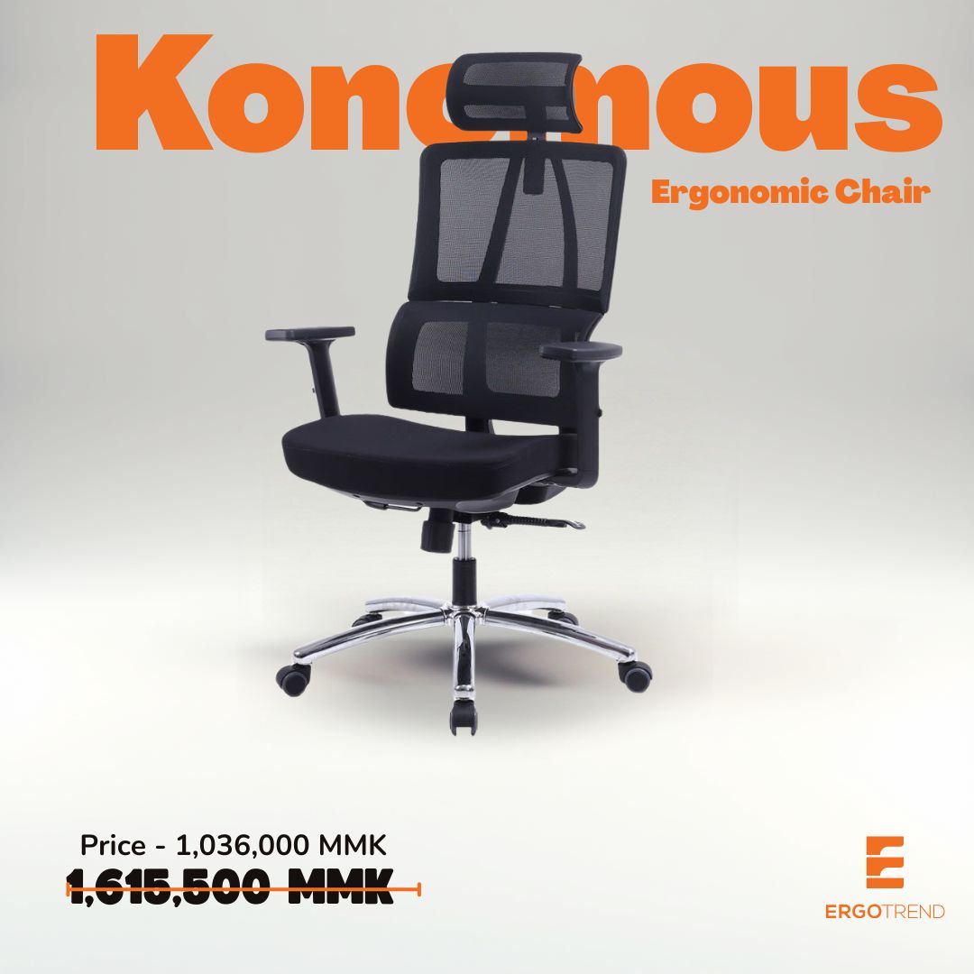 ERGOTREND Konomous Ergonomic Health Chair, Konomous Model