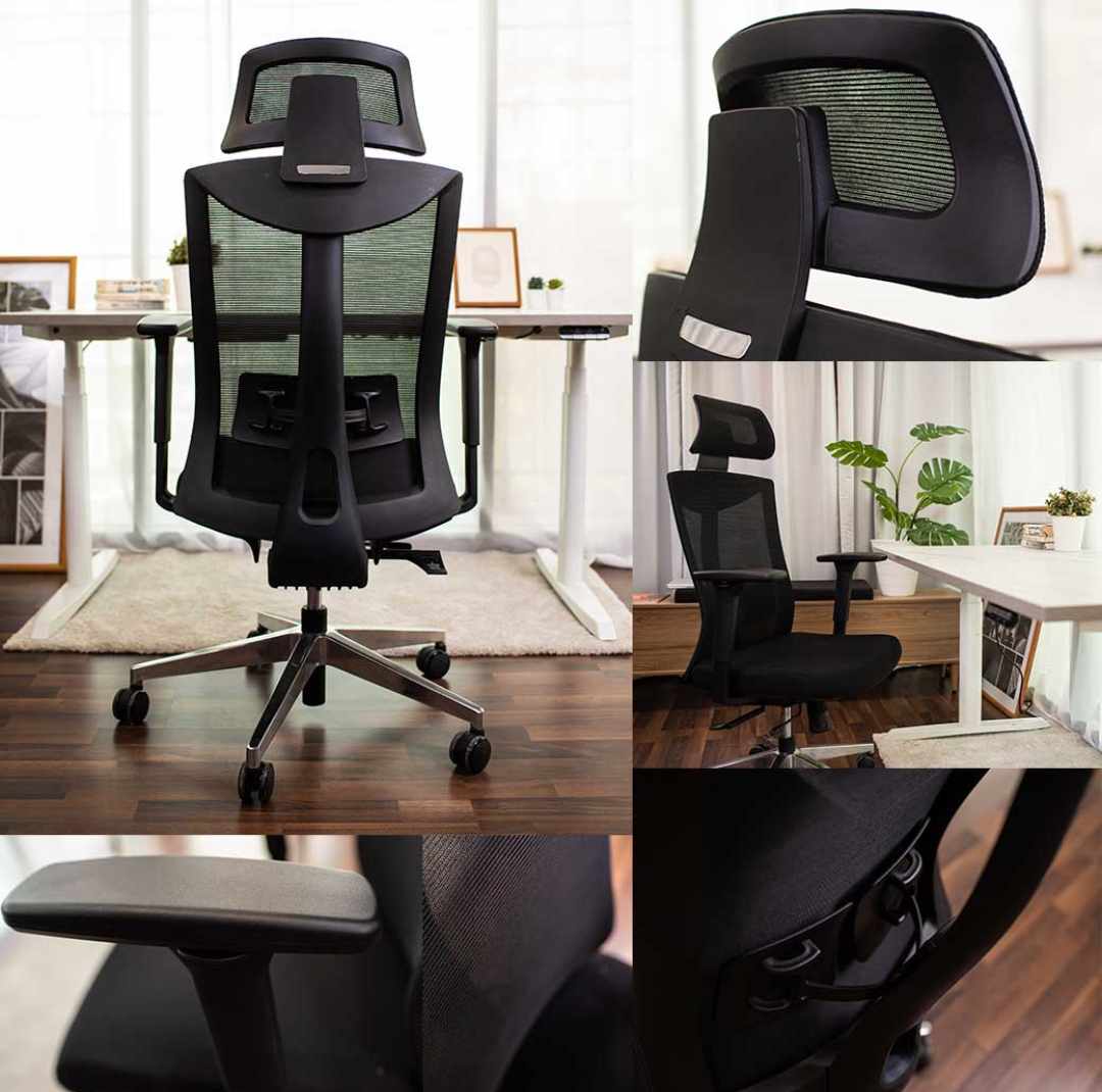 ERGOTREND Dual-X Ergotech Health Chair, Dual-X model