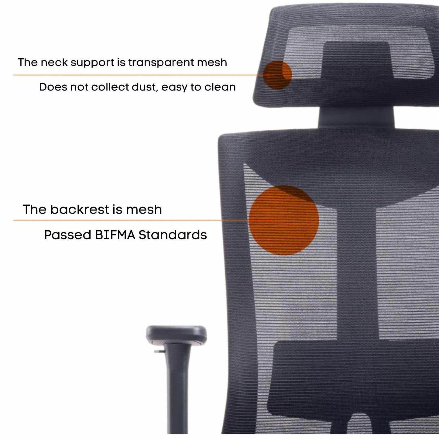 ERGOTREND Dual-X Ergotech Health Chair, Dual-X model
